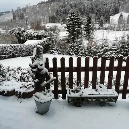 Casa de Férias Haus Ani Winterberg